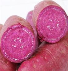 四川紫薯种植基地 四川鲜紫薯 批发价格