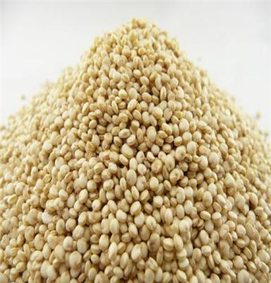 国产藜麦有机种植批发零售