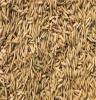 优质大米供应 优质大米销售 长期厂价直销提供优质大米的厂家