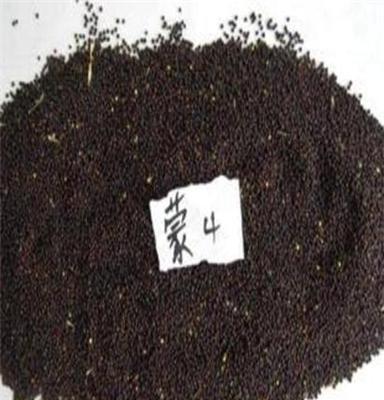 出售油菜籽 供应油菜籽 东北油菜籽 2011油菜籽 蒙4