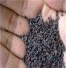烟台海利实业批量优质食品用孟加拉双壳黑芝麻