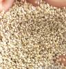 供应进口印度天然白芝麻纯度99%杂质1%榨油和脱壳用