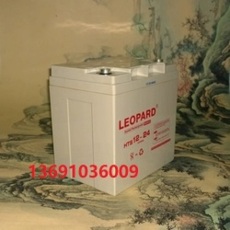 美洲豹蓄電池HTS12-17 LEOPARD電池12V17AH