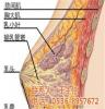 潍坊产后保养、产后康复