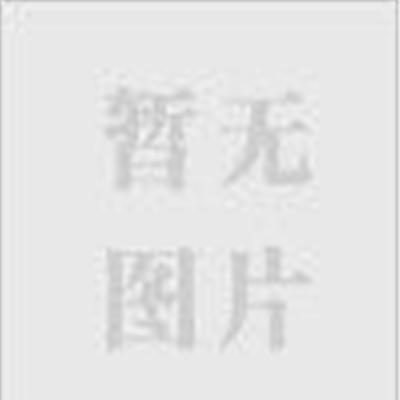 济南瑞华热销碳纤维远红外锗石电磁多功能足疗器-济南市最新供应