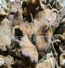 华天山宝 东北特产 野生榛蘑 小鸡炖蘑菇 蘑菇