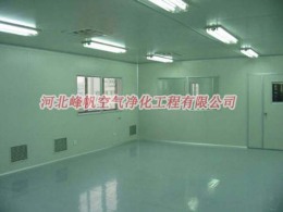 衡水潔凈室施工工程設計找河北峰帆凈化