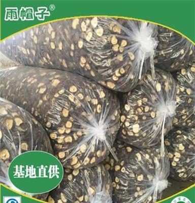 河北省保定市厂家批发干香菇统货出口香菇