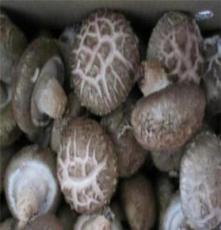 中菇香菇- 西峡原产地出口级香菇