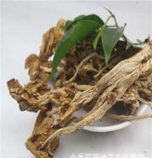福建特产 优质开伞茶树菇 食用菌 无硫熏纯天然 散货 长期批发