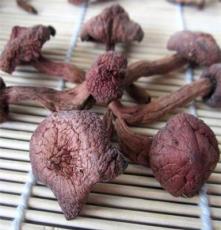 东北野生红蘑菇干货 松伞蘑菇 长白山野生红蘑菇 肉蘑菇