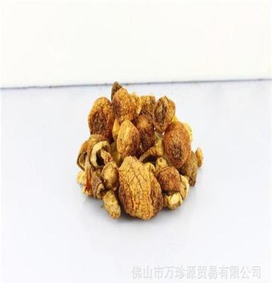 佛山万珍源经销批发 “菌中精品”姬松茸 产品有超高的营养价值