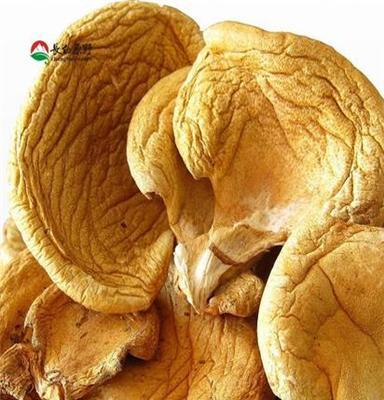 东北野生元蘑 干货 土特产 蘑菇 食用菌 长白山特产 元蘑