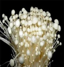 白金针菇（超市装　５斤　１０斤装）-白金针菇