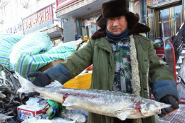 鲜鲟鳇鱼多少钱一斤养殖鲟鳇鱼的零售价