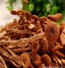 诚惠食品 供应优质椴木香菇 批发干茶树菇