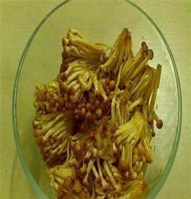 黄色金针菇