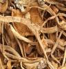 食用菌 干货批发 供应地方特色 四川特产 野生菌干货批发茶树菇