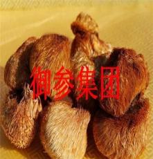 长白山野生猴头菇 特级猴头蘑菇 东北特产 新货干货