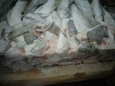 挪威鱈魚進口報關海鮮進口報關公司