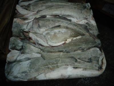 挪威鳕鱼进口报关海鲜进口报关公司