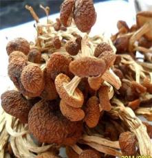 特级茶树菇干货 特价批发未开伞农家自种食用菌