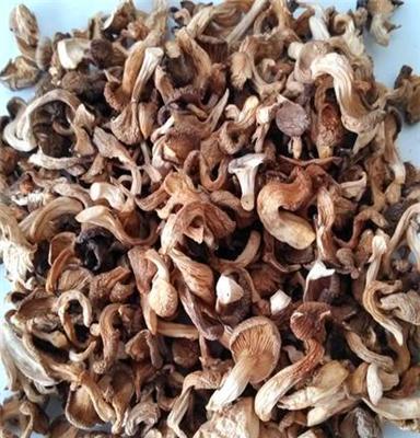 神农谷土特产 特级原生态深山真姬菇 农家干货 食用菌蘑菇 1斤/件