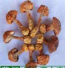 特级姬松茸干货 云南丽江土特产蘑菇 野生菌