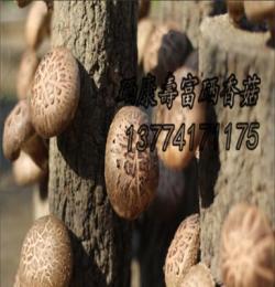 硒康壽富硒香菇粉 富硒鮮香菇