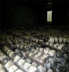 供应出口级 香菇栽培种（菌棒）规格 15x55
