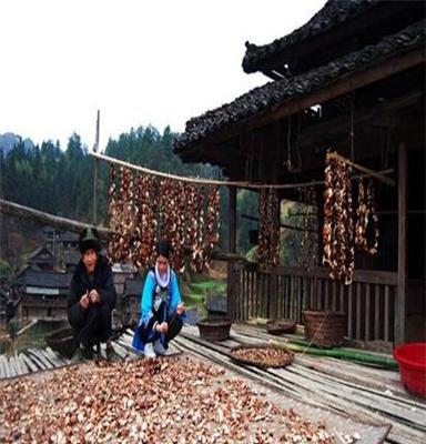 500克 乡村香菇 干货香菇 修水特产野生香菇 屋背山上