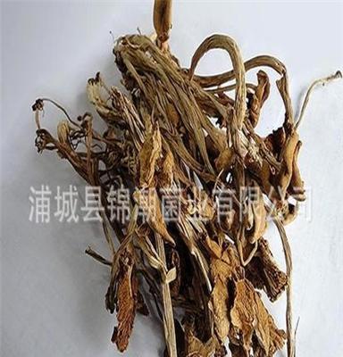 锦潮菌业 批发茶树菇干货5KG装开伞粗细均匀货源充足