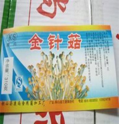 大量的新鲜金针菇