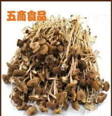 热销爆款 一级干货茶树菇 新鲜美味茶树菇