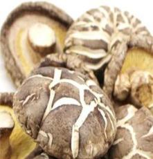古田特级花菇 食用菌类 香菇类 菌类产品