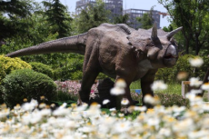 侏罗纪世界仿真恐龙模型再现福建