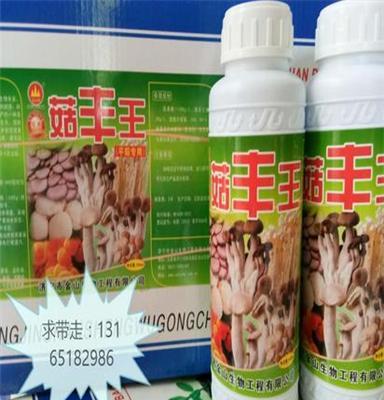 金山生物500毫升菇丰王早上市菌柄粗菇片厚不易开伞耐运输菇