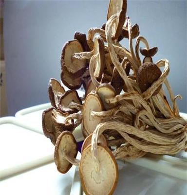 食用菌产地直供干茶树菇 特级茶树菇 大量茶树菇冰雹菇批发