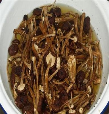 修水特产茶树菇 茶薪菇 野生茶树菇 未开伞  干货供应