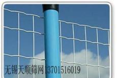 碳钢-无锡PVC包塑荷兰网 年厂家专业生产泰州句容园林简荷兰网围栏网-无锡市最新