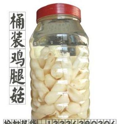 散装食用菌批发 桶装鸡腿菇 白嫩鲜美 营养健康食品 高营养