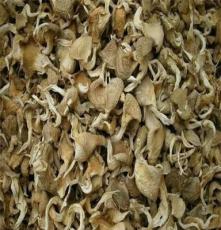 最新江湖产品巴西菇 厂家现货供应 食用菌巴西菇 货优价低