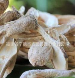 古田雞腿菇/雞腿蘑/食用菌/南北干貨/支持支付寶/滿額混批