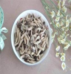 食用菌 高密市暢想食用菌種植專業(yè)合作社姬菇菌種菌種、食用菌