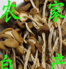 出口品质 一级茶树菇茶薪菇 未开伞盖嫩柄脆 养生食用菌干货特产
