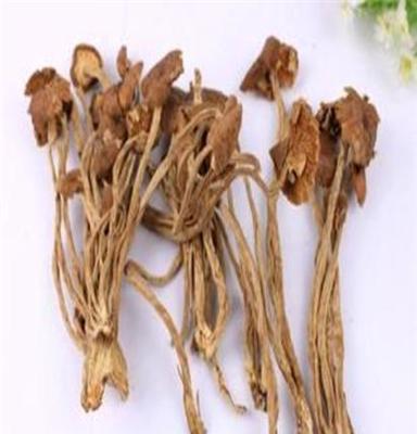 特级野生茶树菇纯天然绿色食品厂家直销物美价廉