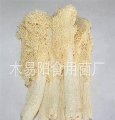 中国食用菌之都 福建古田供应竹荪（干品）欢迎前来批发采购