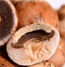 汤山百年绿源 天然无公害有机鲜意大利褐菇 约250g/份