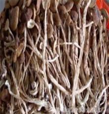 茶薪菇 茶树菇 食用菌 广东特产 津泰康 神菇 煲汤料 佐料 保健品