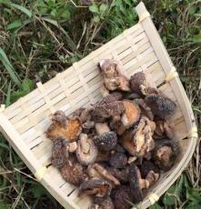 野生椴木香菇 干货香菇批发价 香味浓产量低一手货源土特产食用菌